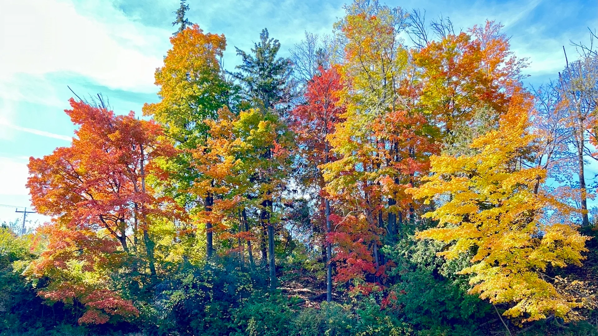 Fall colours showing in Ontario after warm September 'paused' foliage