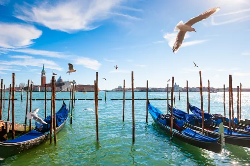 Venice canal runs clear as coronavirus lockdown halts pollution