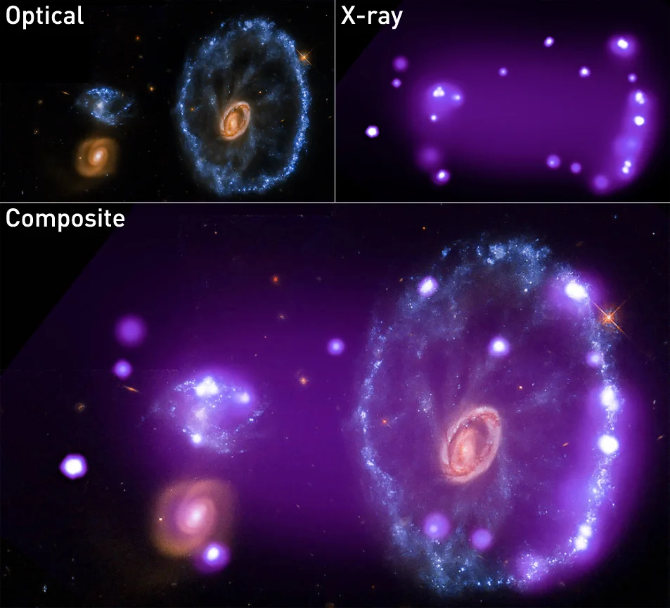Cartwheel-Galaxy-Optical-Xray-NASA-Hubble-Chandra