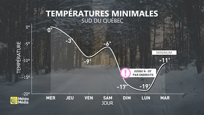 FROID3 (1)