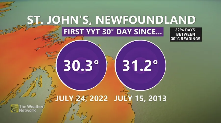 NL temp