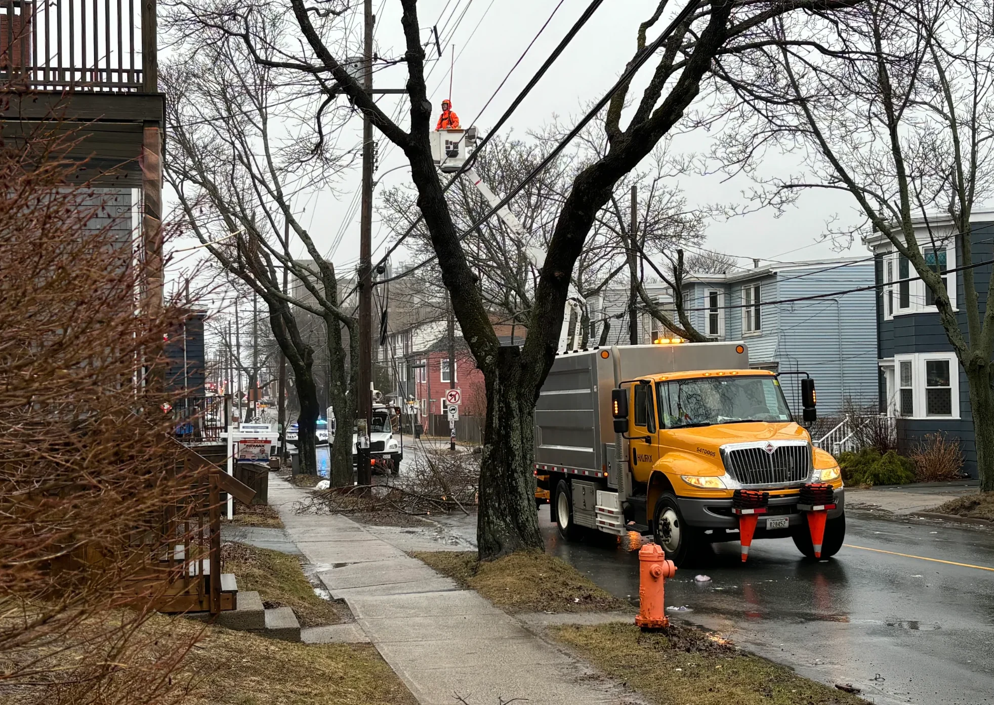 Nathan Coleman: Tree branches down on power lines amid strong winds in Halifax, Nova Scotia. (March 17, 2026)