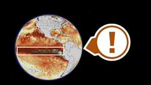 L'effet domino d'El Niño : des conséquences insoupçonnées. Détails ici. 