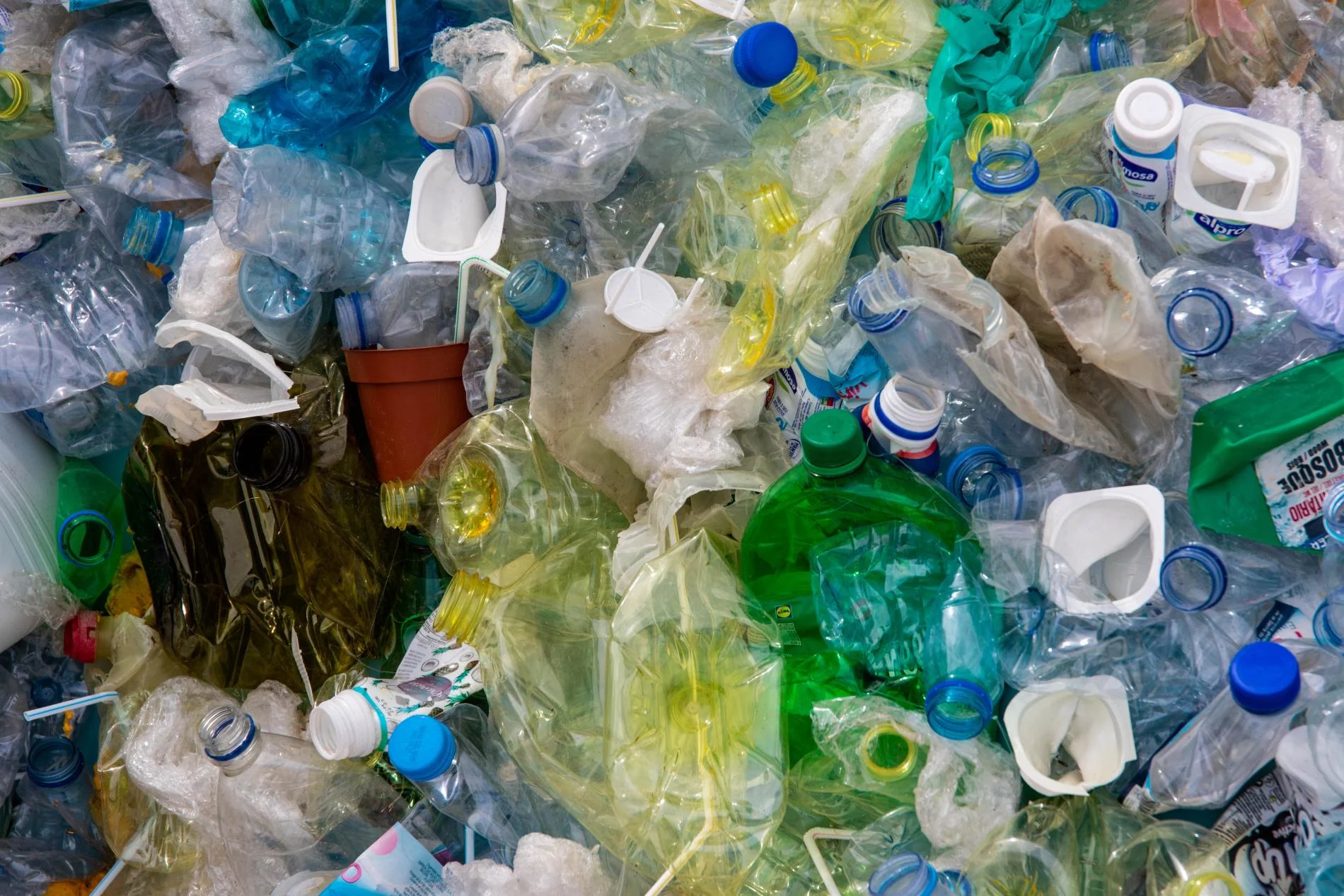 plastic pollution - Magda Ehlers/ Pexels