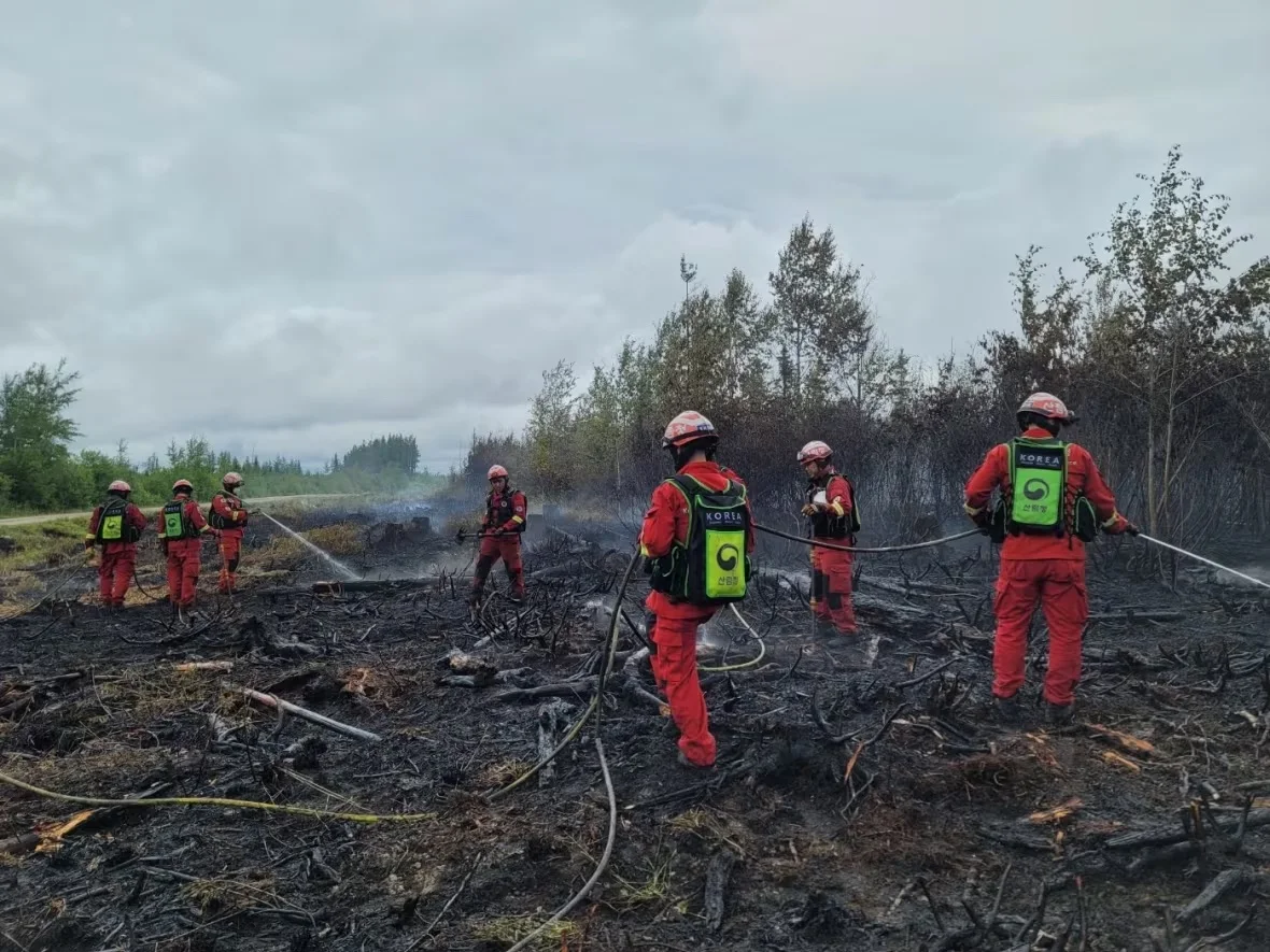 korean-firefighters-lebel-sur-quevillon/Submitted by the Korean Disaster Relief Team via CBC