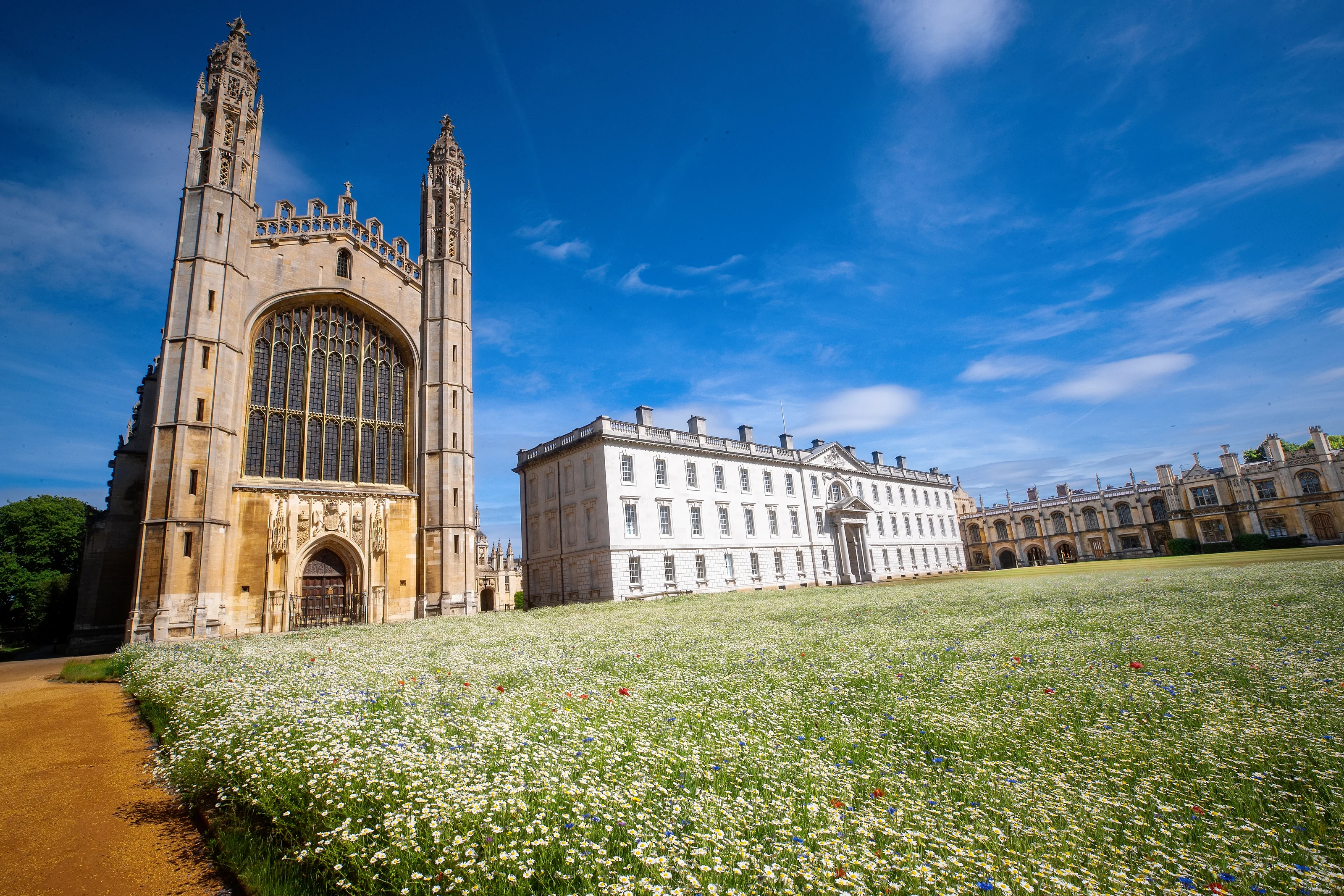 University of Cambridge - WildflowerMeadow2020 