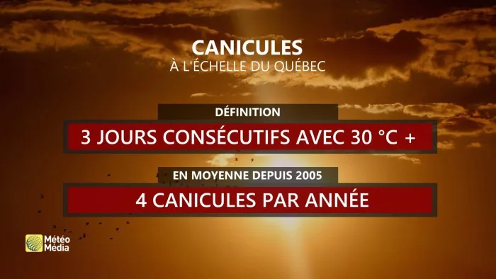 CANICULE2