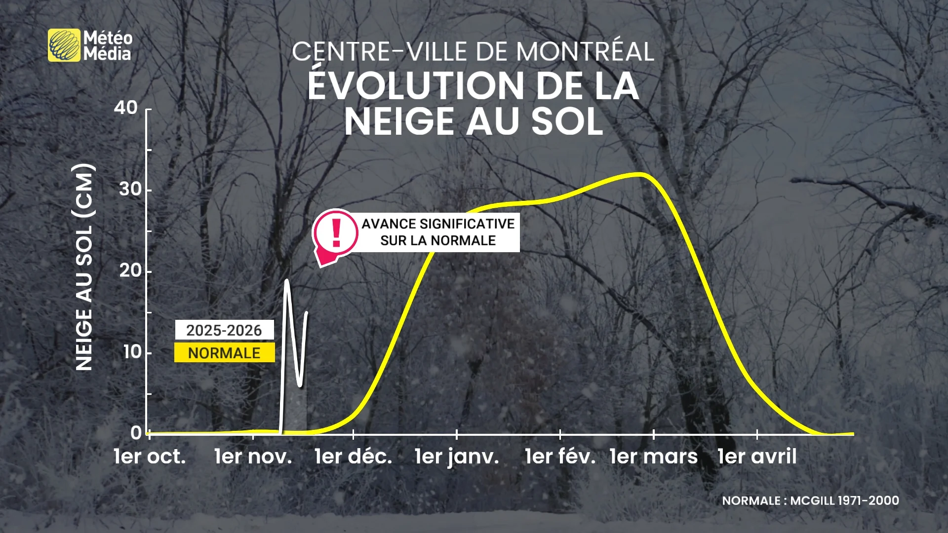 NEIGE 4 (1)