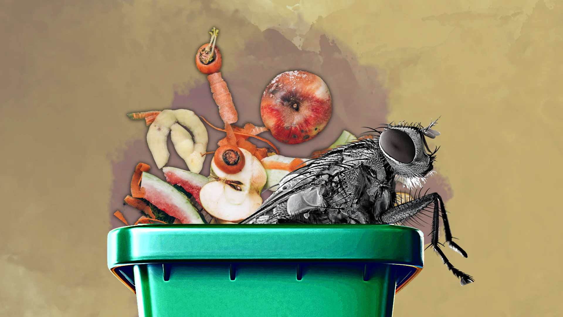 Prevent maggots from overtaking your green bin with these game-changing tips
