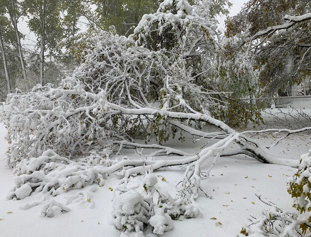 Manitoba's devastating 2019 Thanksgiving blizzard: A look back