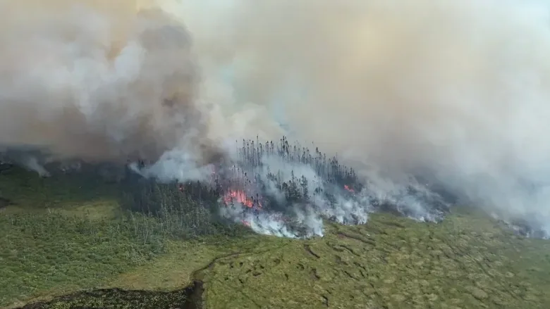 bay-d-espoir-forest-fire/Submitted by Derrick Bragg via CBC