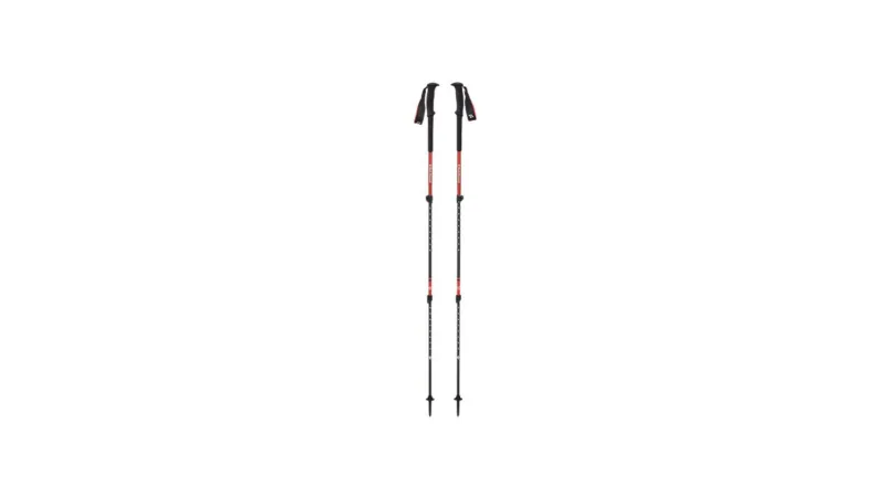 Sport Chek CANVA poles winter hiking