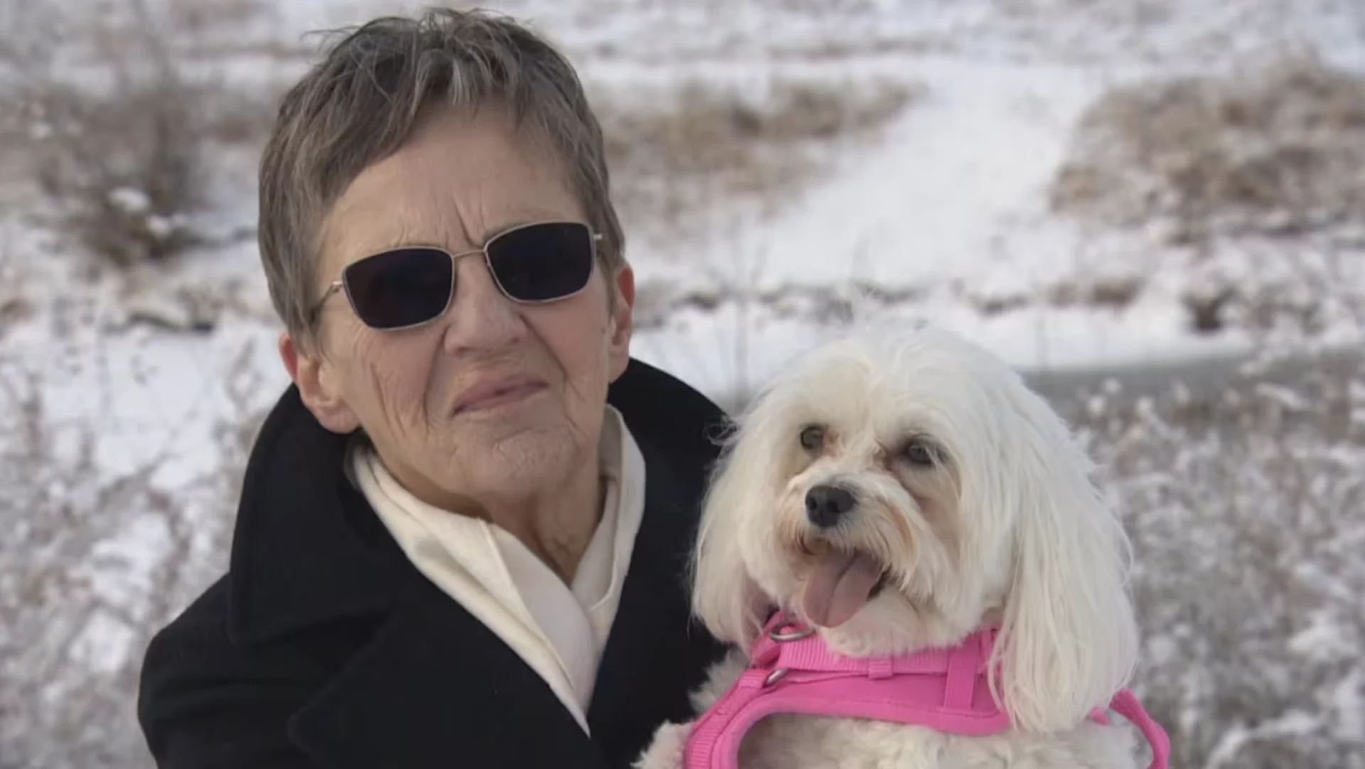 Regina woman reunites dog with her owner after icy water rescue