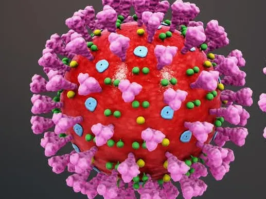 Le retour du temps chaud va-t-il stopper la propagation du coronavirus ?