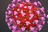 Le retour du temps chaud va-t-il stopper la propagation du coronavirus ?
