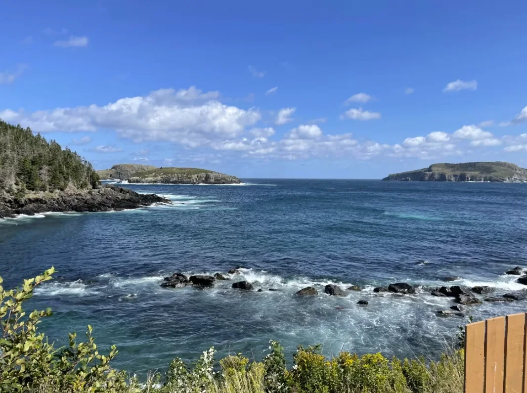 CBC: Anna Ryan collected samples of microplastics near Saint Michaels, N.L., a sparsely populated location with no major industry or other obvious sources of microplastics. She says even the most pristine places now have plastics in the air. (Submitted by Anna Ryan.)