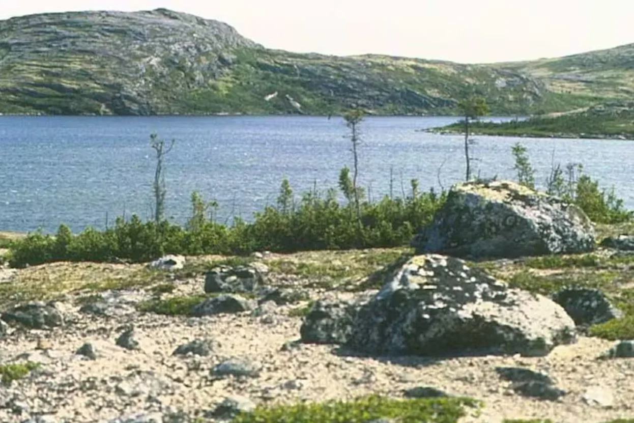 Krummholz dans le nord du Québec. Konrad Gajewski Conversation