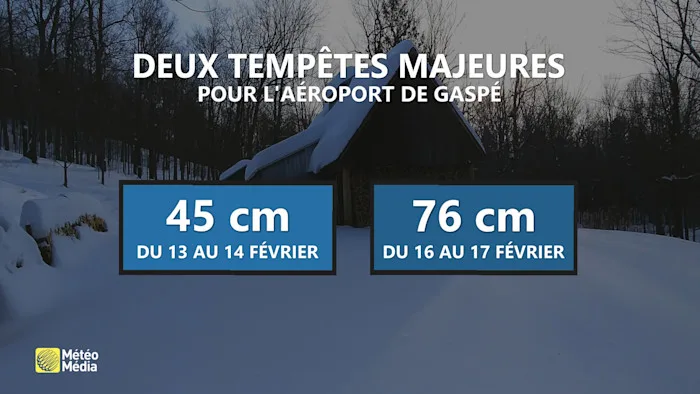 NEIGE4