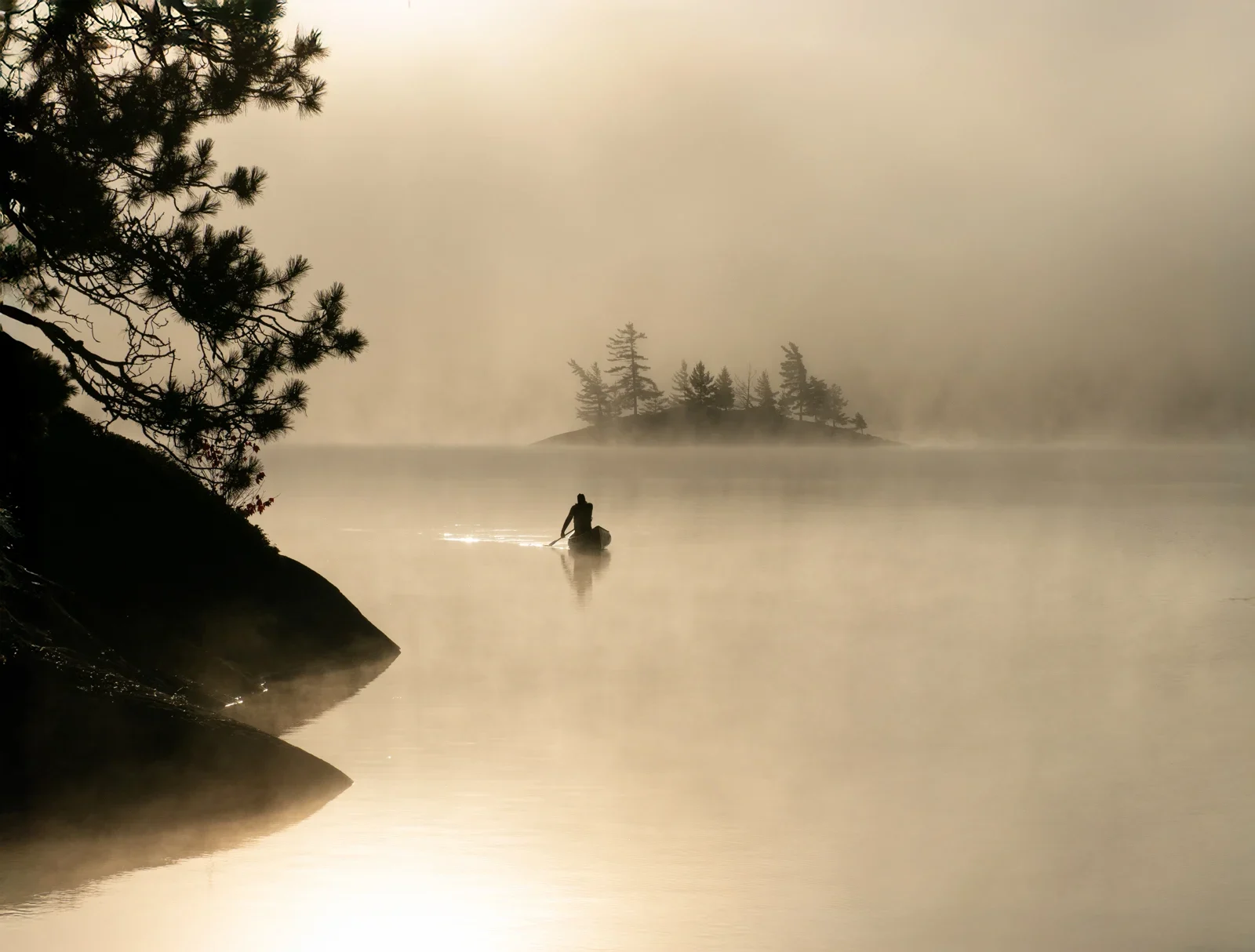 Runner-up-©-Peter-Baumgarten