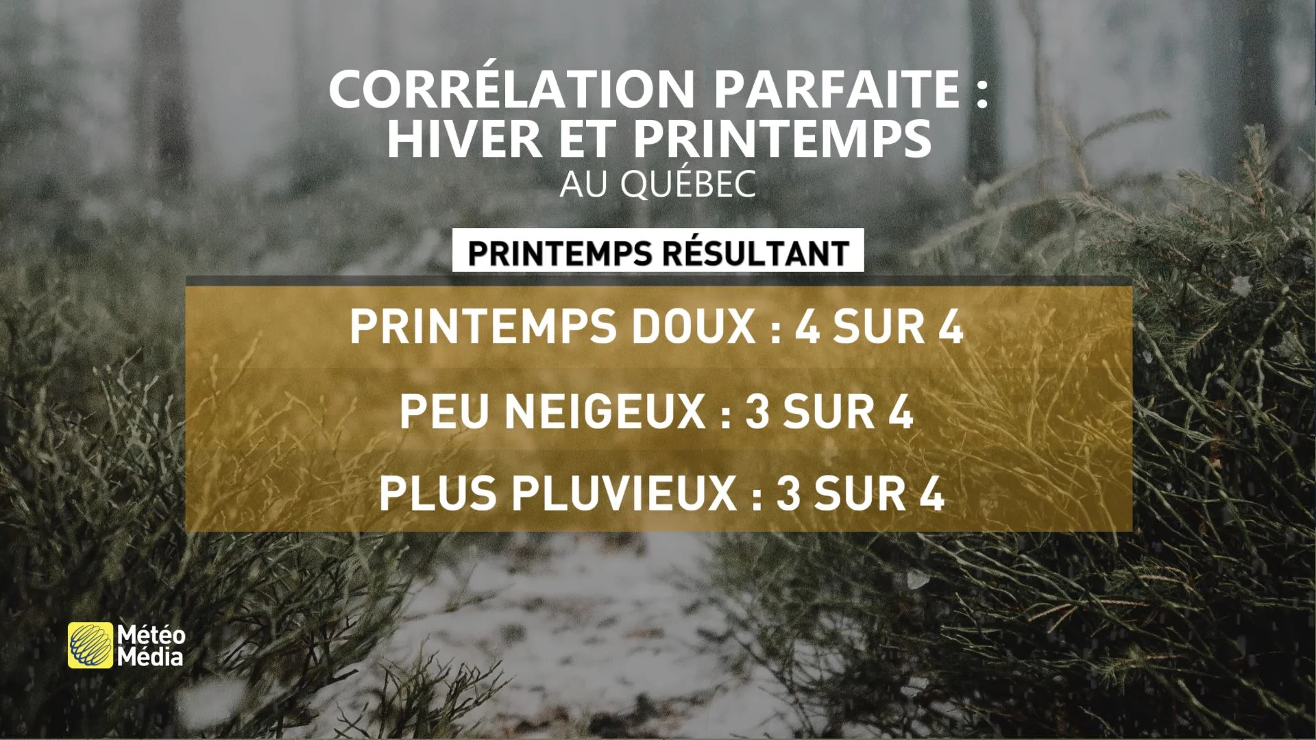 HIVER ETRANGE4
