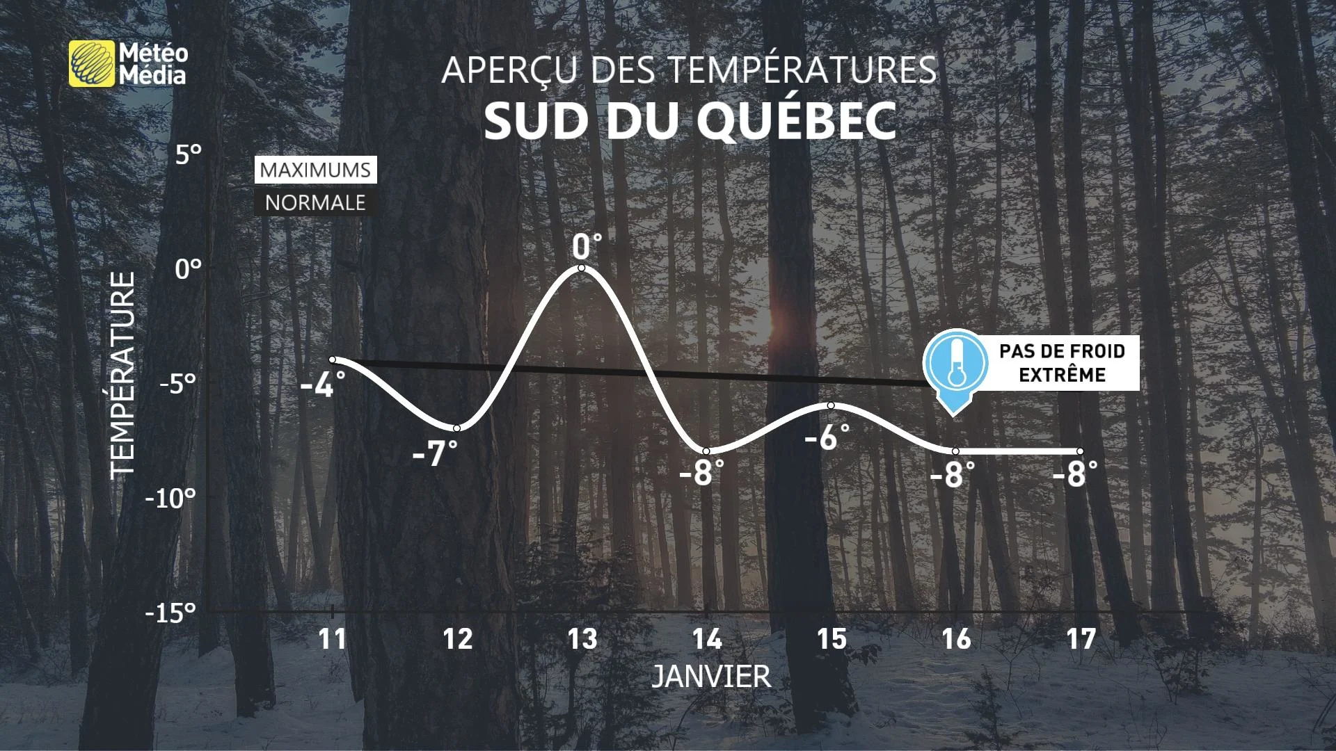 FROID5 MET 7J