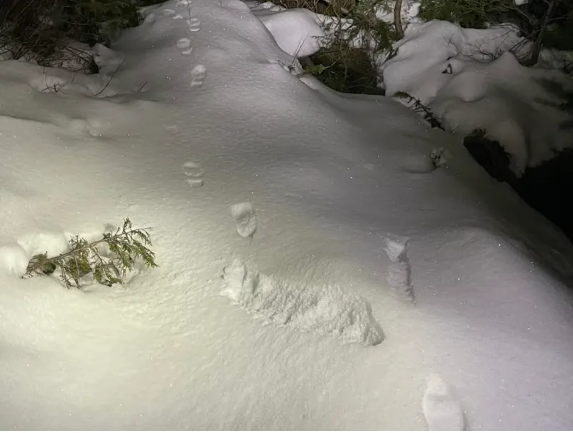 BC hiker rescue 3 - North Shore Rescue - Facebook