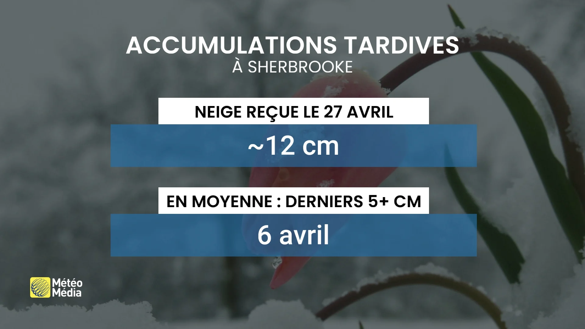 NEIGE3