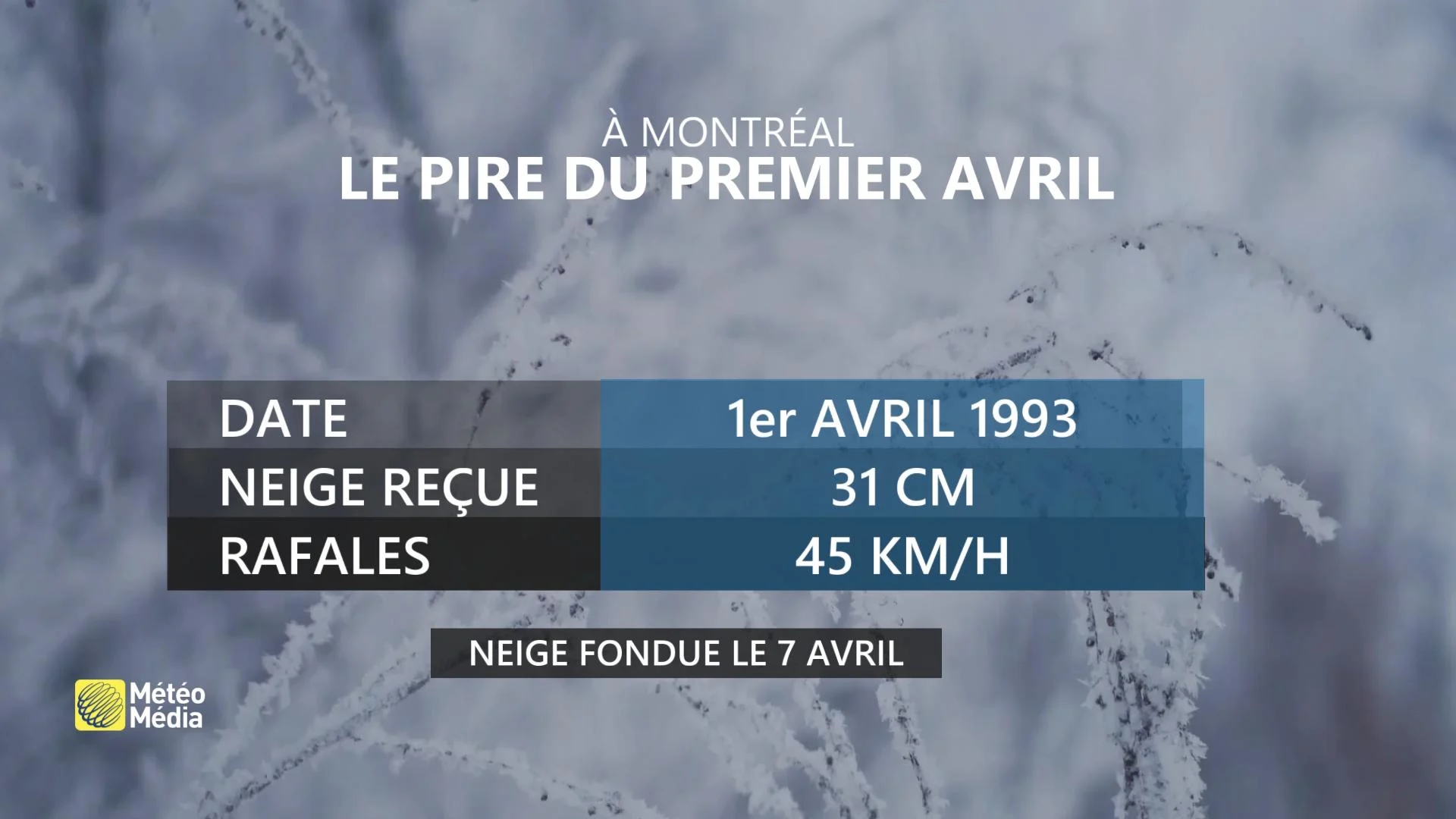 NEIGE 1ER AVRIL 1993