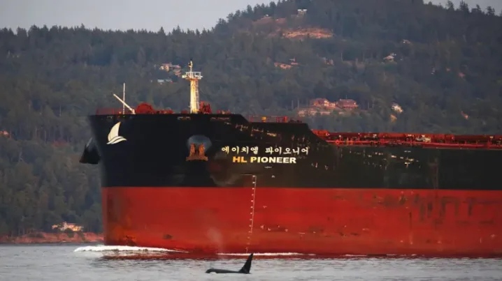NEB to release Trans Mountain report on marine impacts