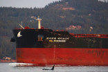 NEB to release Trans Mountain report on marine impacts