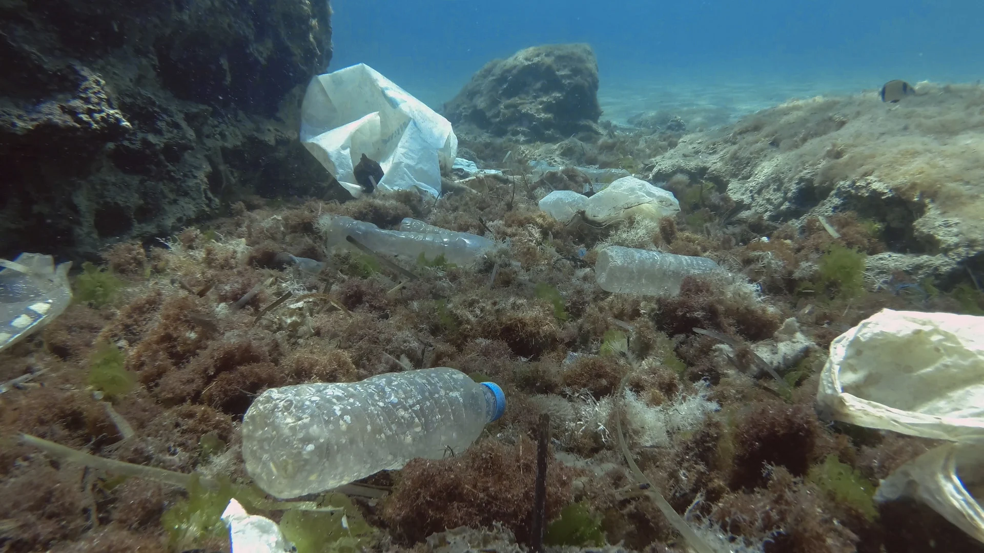 These ten plastic products account for 75% of all litter items in the ocean