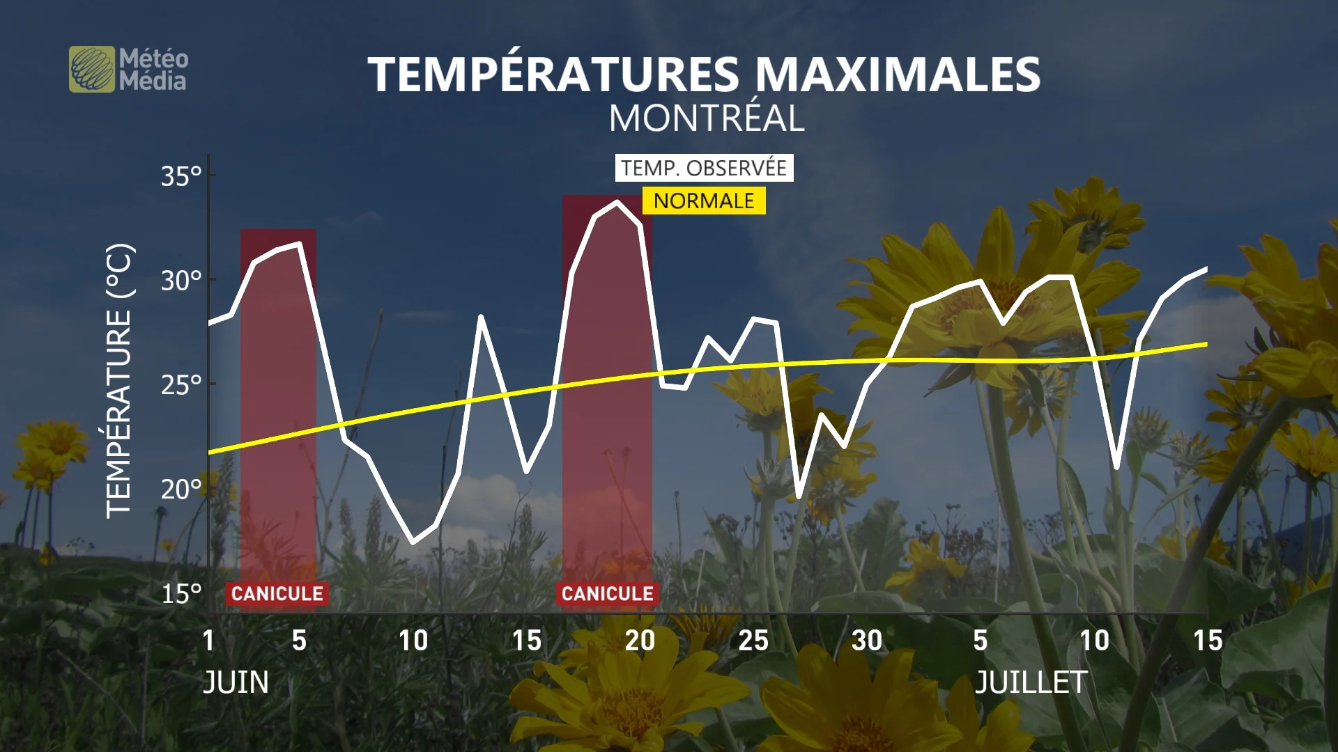 BILAN MI-ÉTÉ METEOGRAMME