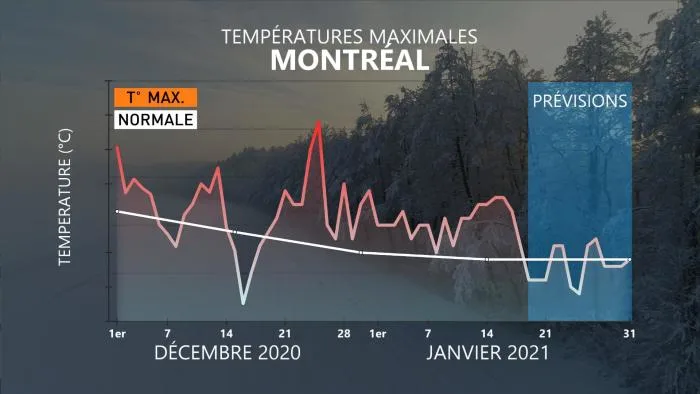 MET HIVER