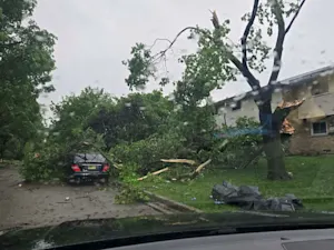 PHOTOS: Powerful, destructive thunderstorms in Ontario topple trees and put thousands in the dark