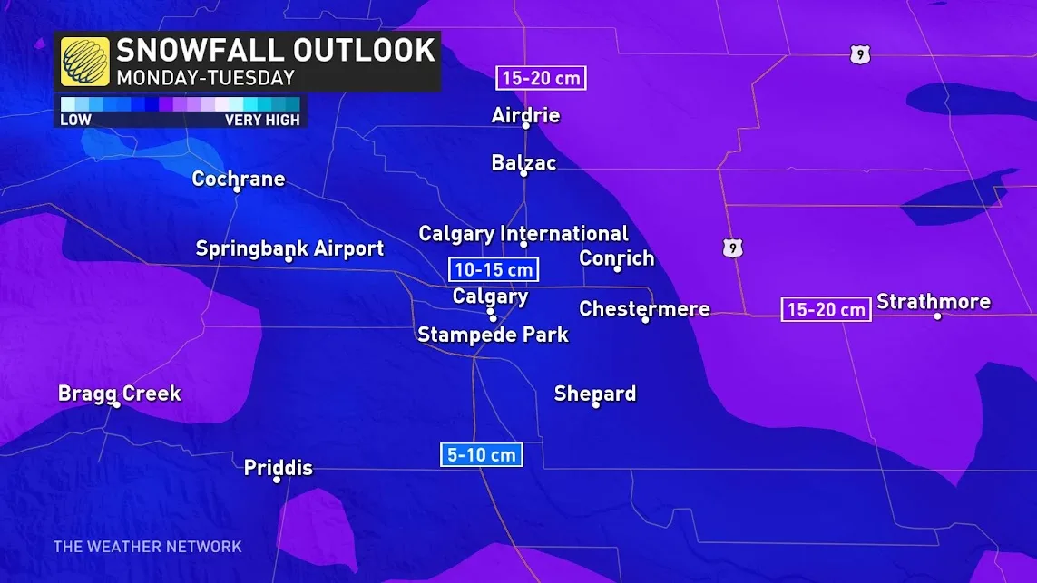 YYC Snowfall