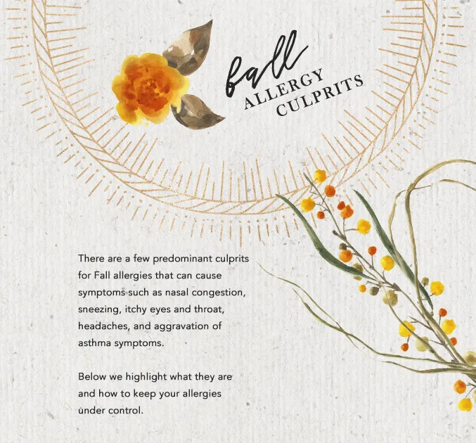 WN Allergies Fall Infographic ENG 1