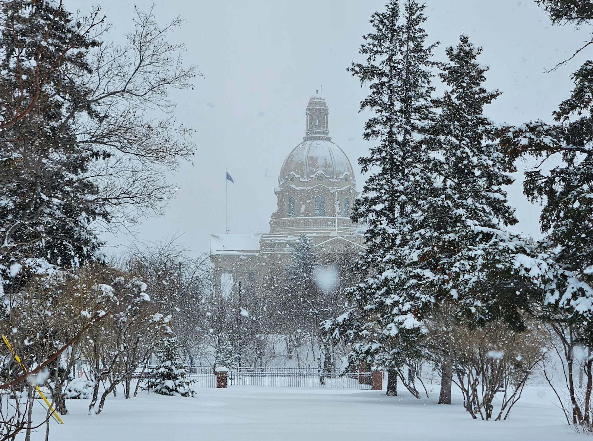 Connor O'Donovan: Heavy springtime snow in Edmonton, Alberta. March 28, 2025. 5