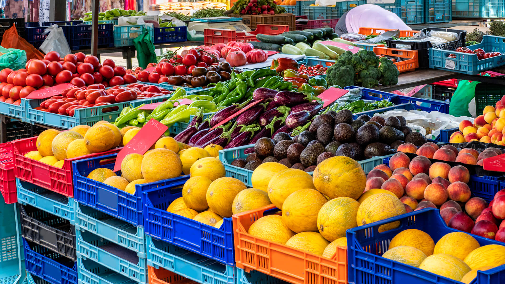 Healthy foods are best for the environment, new research finds