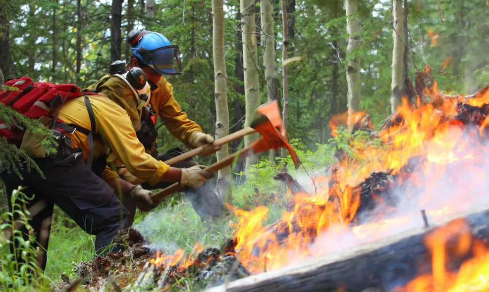 Beaucoup de feux de forêt à prévoir cet été au Canada