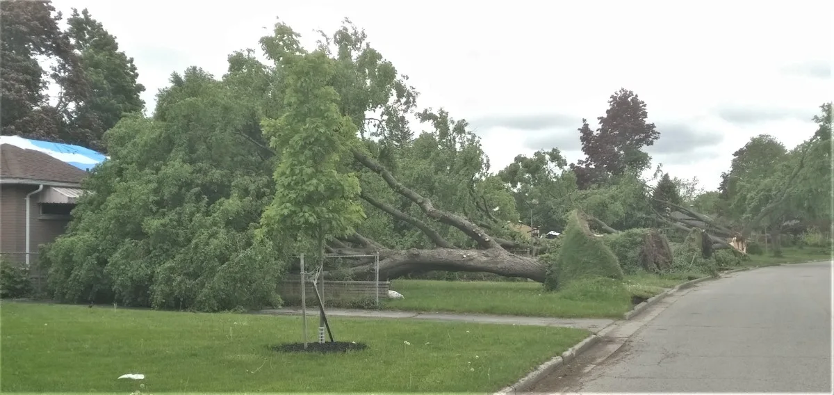 (NTP/Permission Granted) Tornado damage in London, Ontario