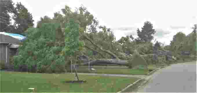 (NTP/Permission Granted) Tornado damage in London, Ontario