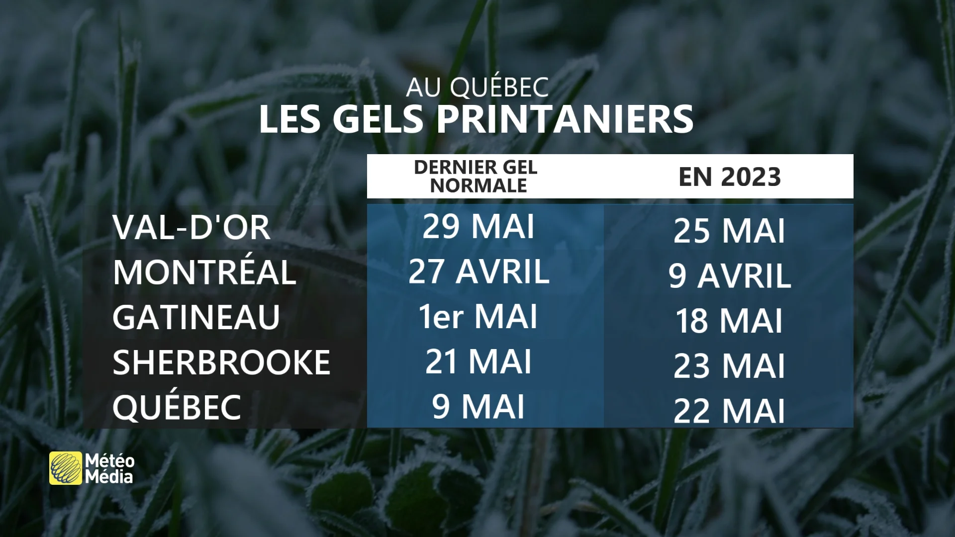 GEL4 (2)