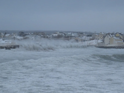 The Weather Network Bonavista facing 10M in damage following record blizzard