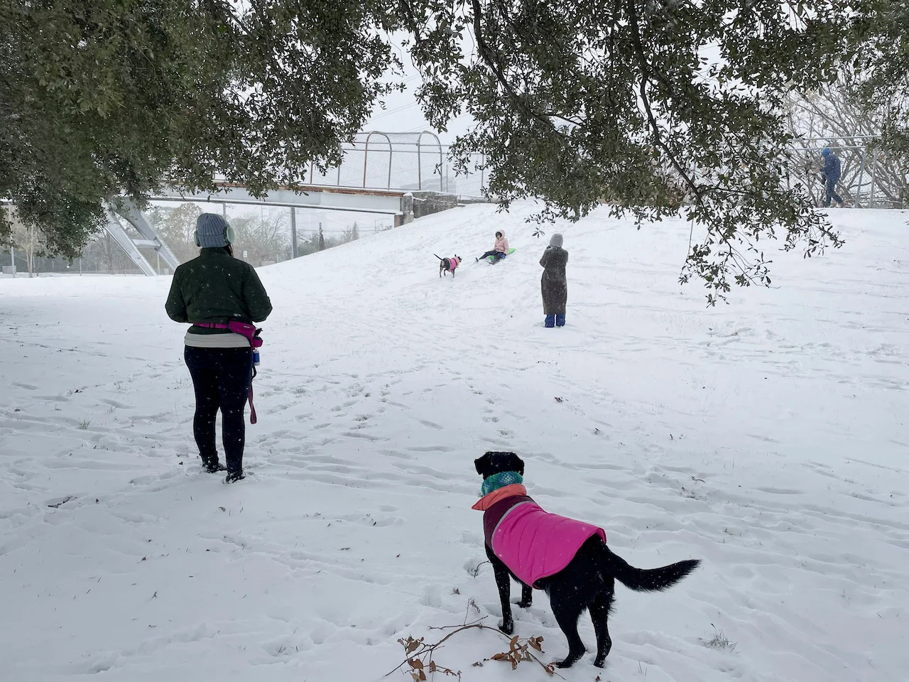 USA-WEATHER-WINTER-storm/REUTERS/Arathy Somasekhar