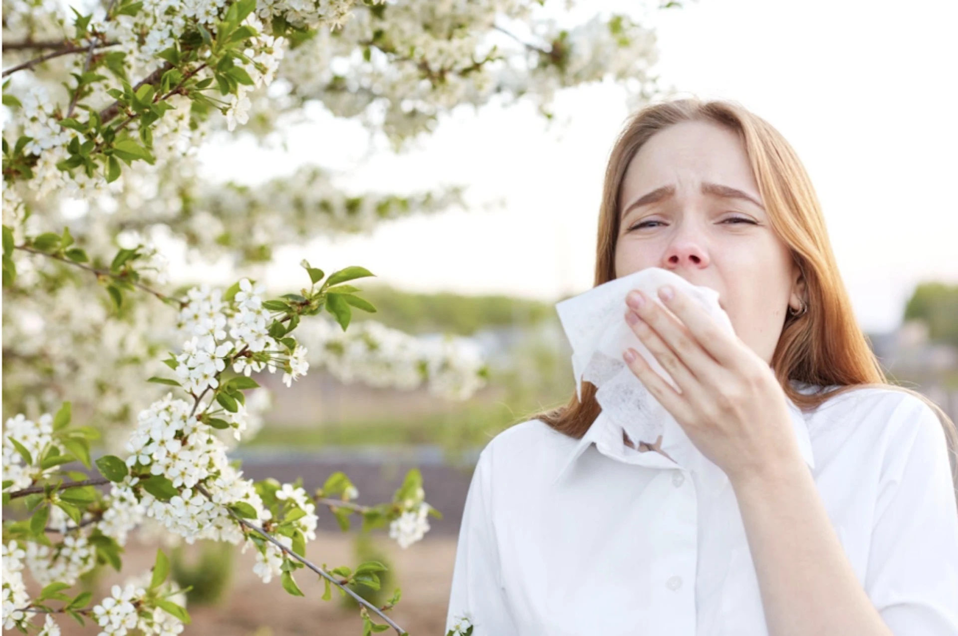 Sluggish start to allergy season in Canada, but it will catch up