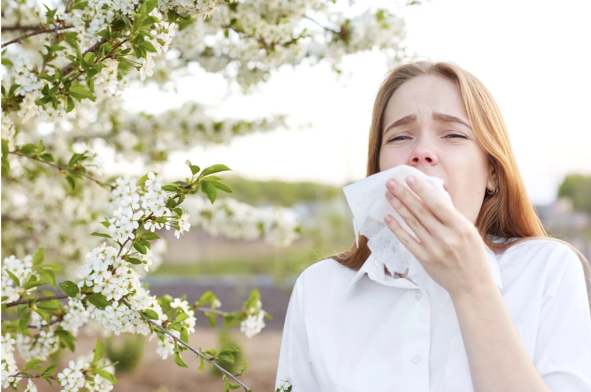 La saison des allergies : c'est parti