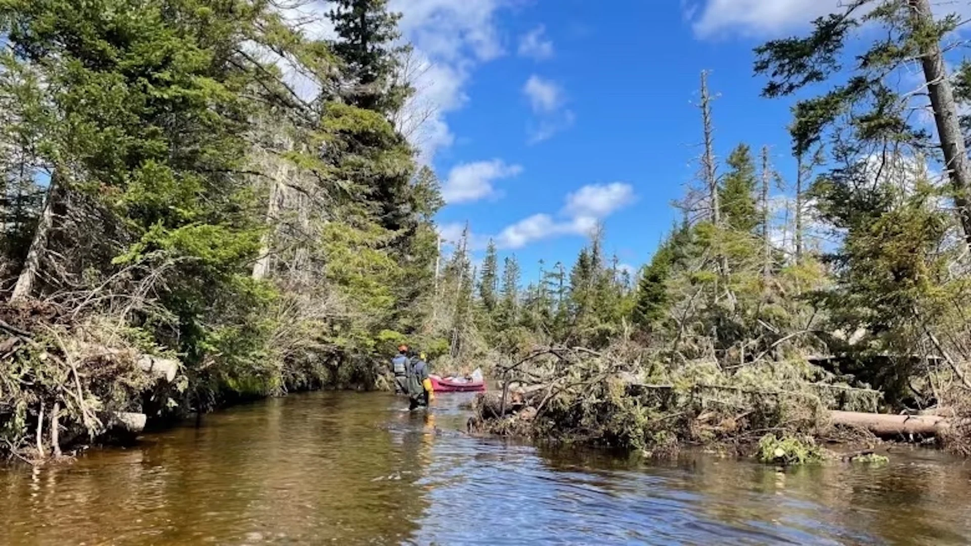 Trails gone, rivers blocked: Fiona cleanup in watersheds will take years