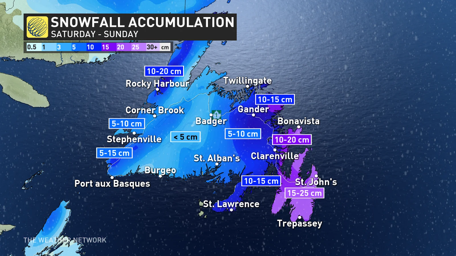 Newfoundland snow totals