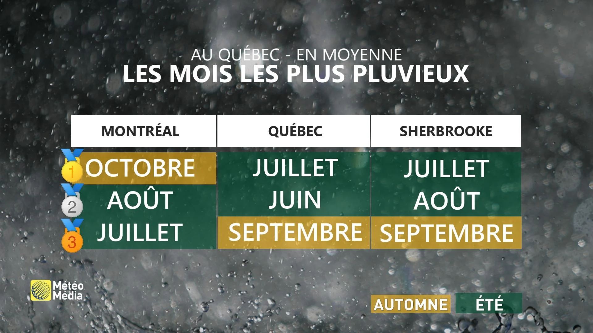 PLUIE1 (1)