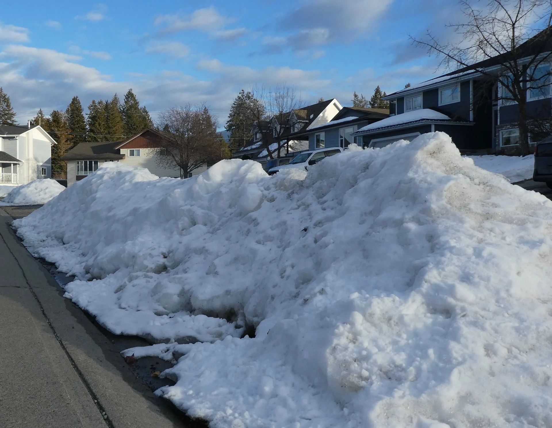 The dark side of snow: How it worsens the effects of environmental pollutants